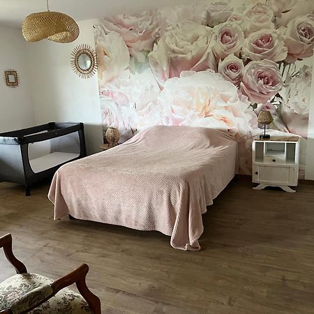 Villa Chez Ghislaine à Saint-Appolinard  Extérieur photo